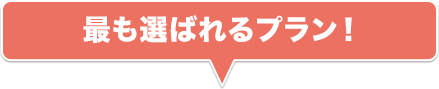 最も選ばれるプラン！